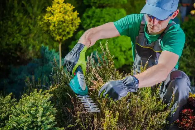 landscaping services Paulina